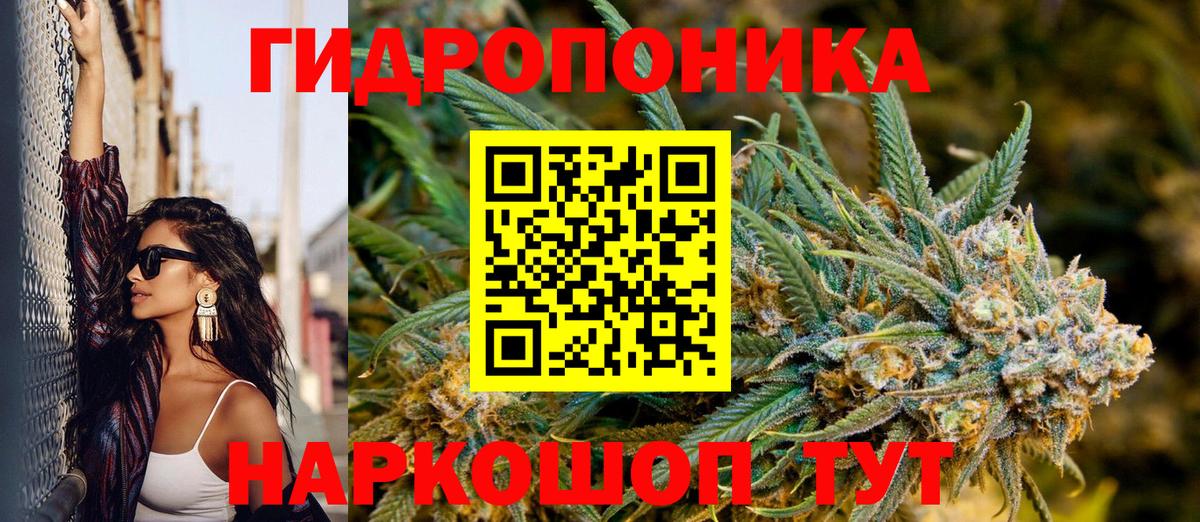Шишки марихуана сатива  Бошки Шишки конопля  Бошки Шишки конопля  Вход с VPN  Канабис LSD WEED  Осинники 